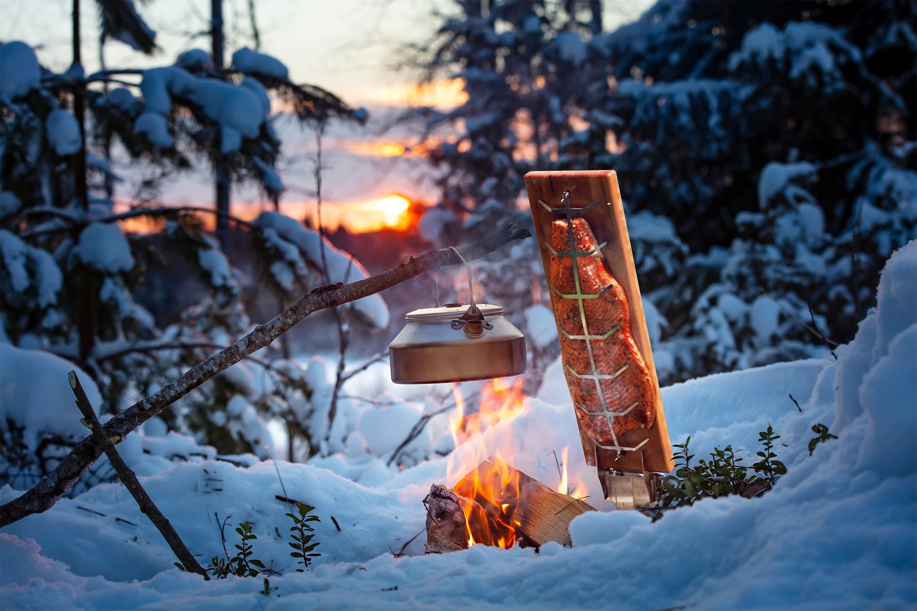 Flammlachsbrett mit Lachs an einem Lagerfeuer im verschneiten Wald
